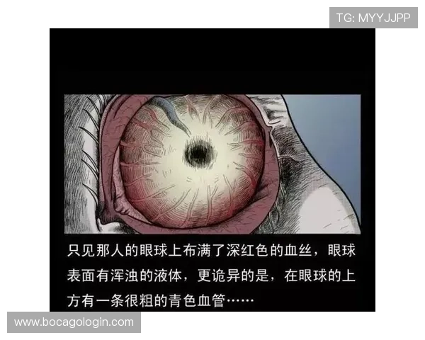 走进爱游戏外围的世界，探索游戏背后那些鲜为人知的故事